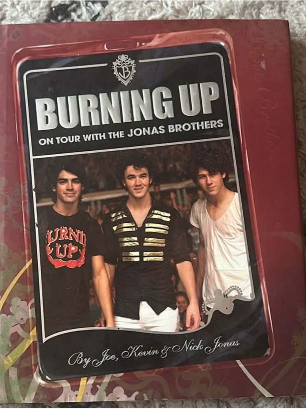 Jonas Brothers Burning Up Tour Book 2008